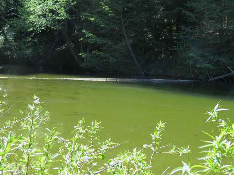 Camp Irene Ford during high Spring Thaw flow.